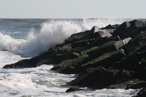 Ocean Waves
