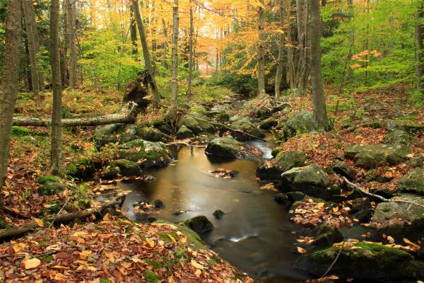 Off-Trail Hike (1)