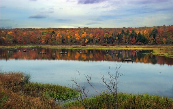 Off-Trail Hike (5)