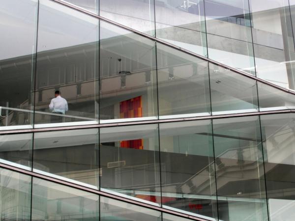 Office Worker in the Window