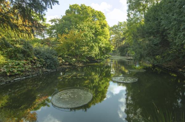 Ogród botaniczny Wrocław