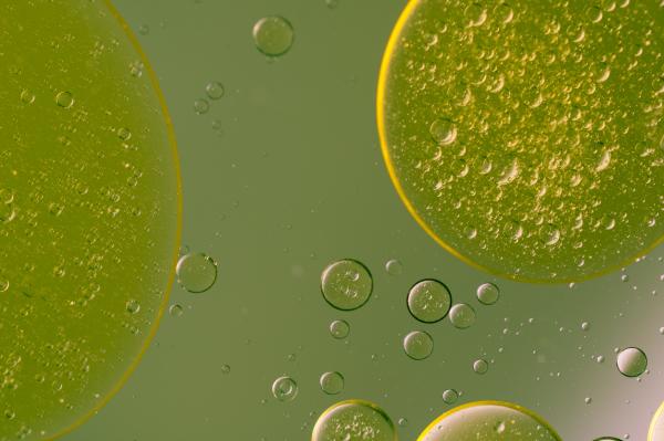 Oil in Water
