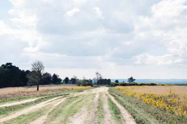 Old airstrip