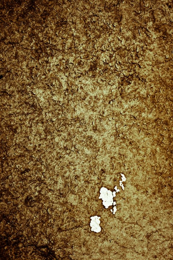 Old Grunge Plywood