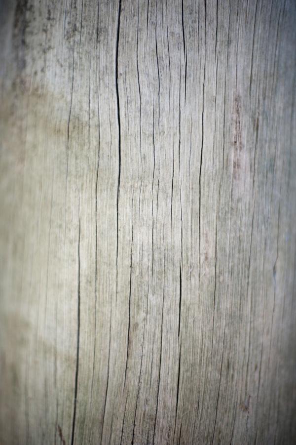 Old Weathered Wood