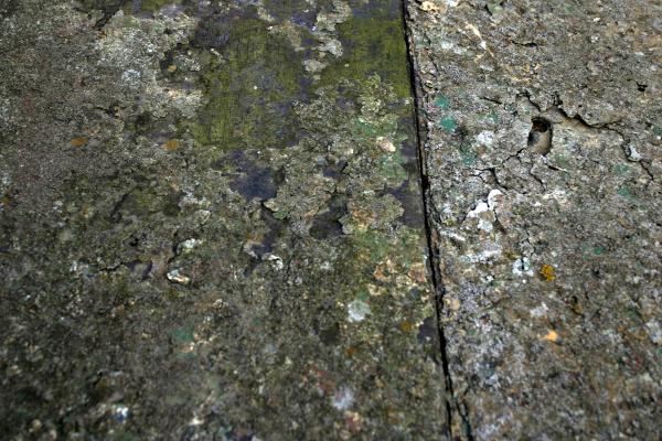 Old layers of paint
