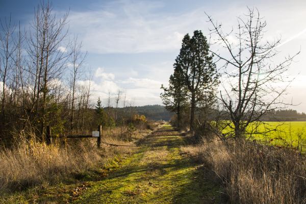 Old Road, Willamette Valley, Oregon