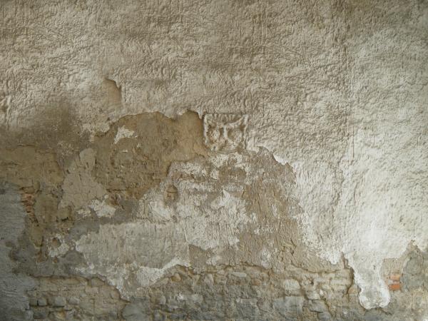 Plaster wall