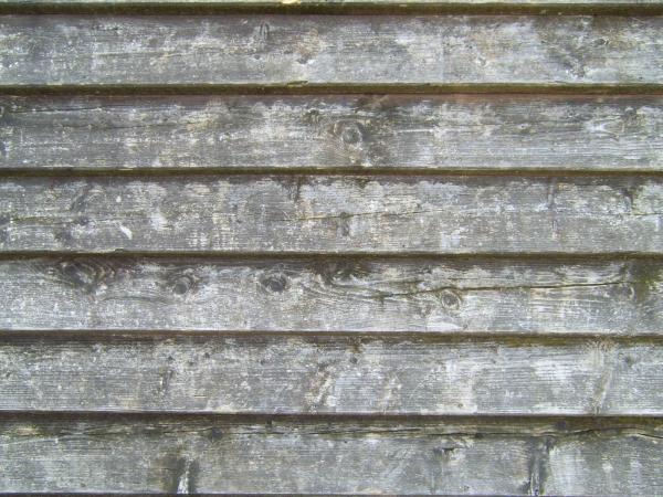Old wood
