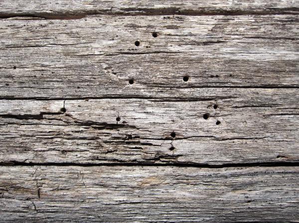Old wood