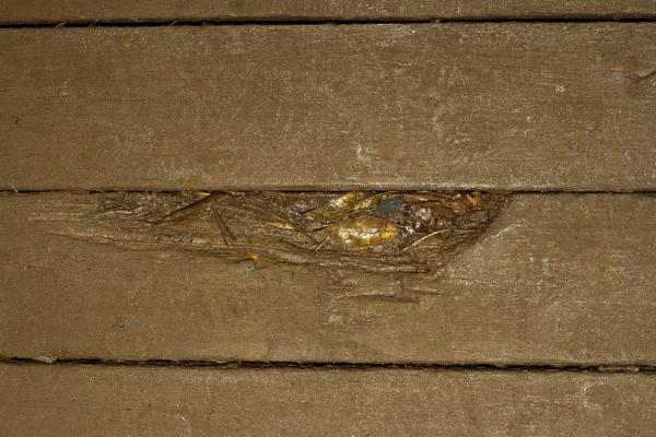 Old Wood Background