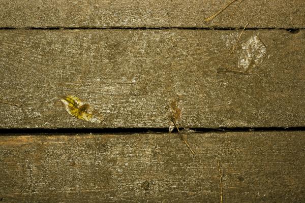 Old Wood Background