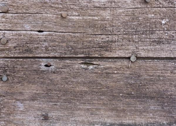Old Wood Texture