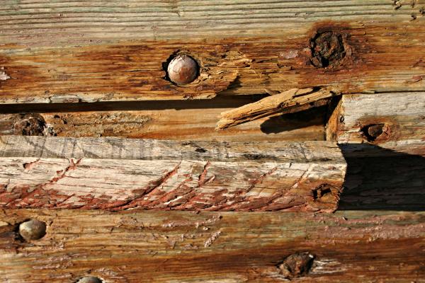 Old wood texture