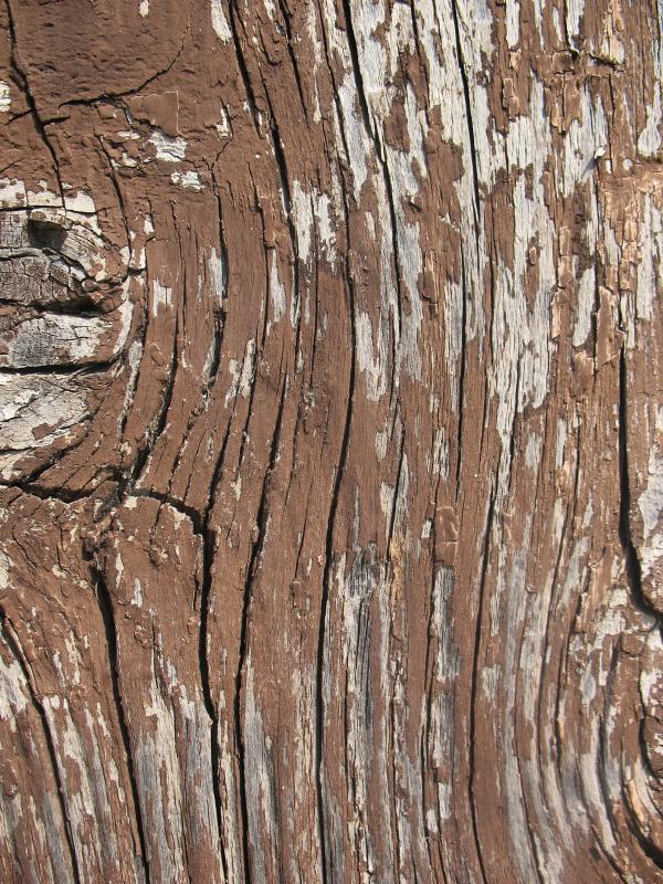Old Wood Texture