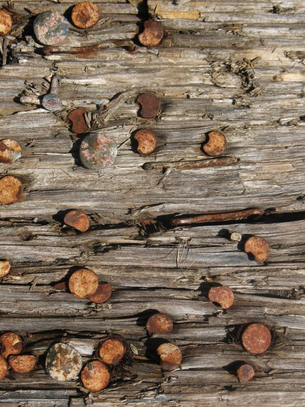 Old Wood Texture