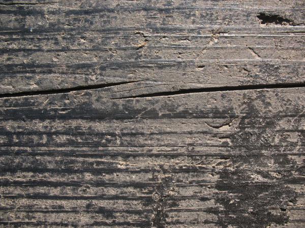 Old Wood Texture