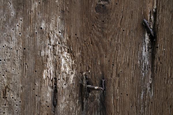 Old Worn Wood