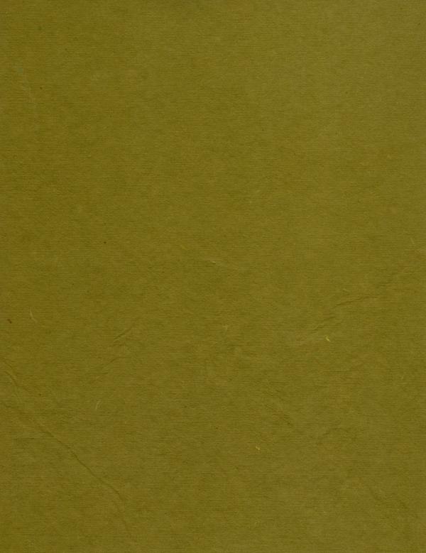 Olive Green Paper