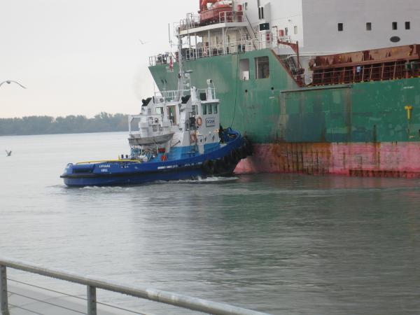 Omni Laprairie helps Barnacle moor at Redpath Sugar in Toronto, 2012 10 17 -bc.JPG