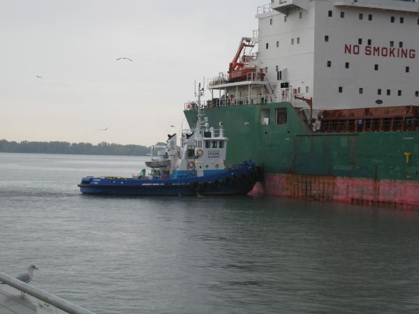 Omni Laprairie helps Barnacle moor at Redpath Sugar in Toronto, 2012 10 17 -ce.JPG
