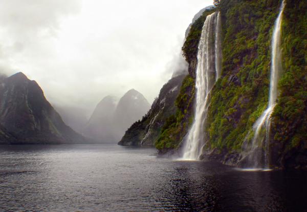 On Doubtful Sound.NZ