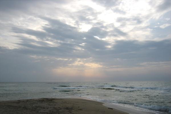 On the beach