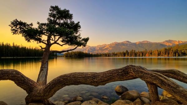 The Lake