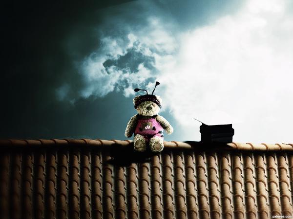 on the roof