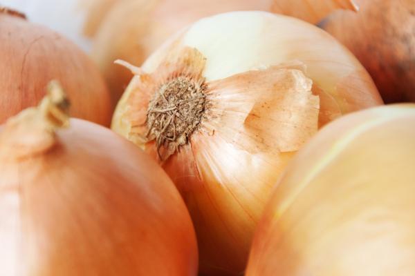 Onions