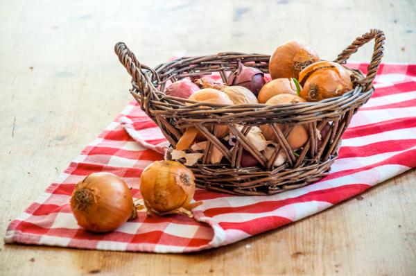 onions in basket