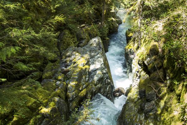 Opal Creek, Oregon