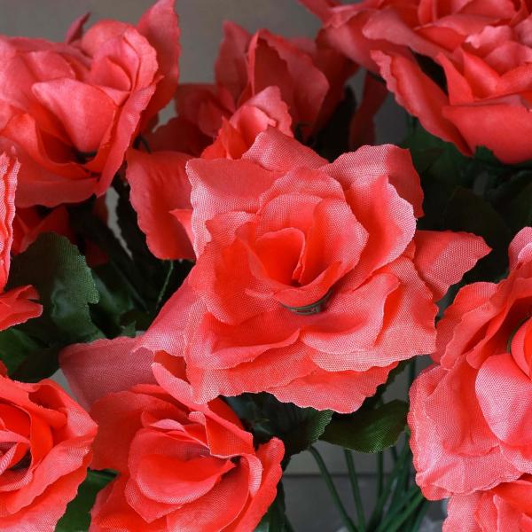 Open Red Rose