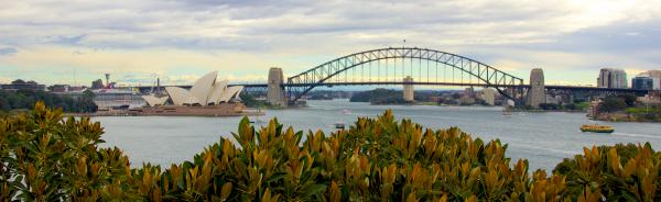 Opera house and harbour bridge