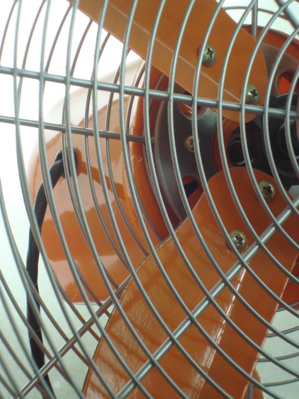 Orange Fan