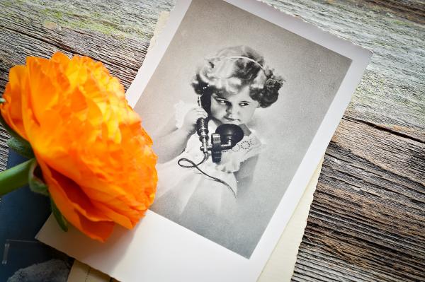 Orange Flower and vintage photo