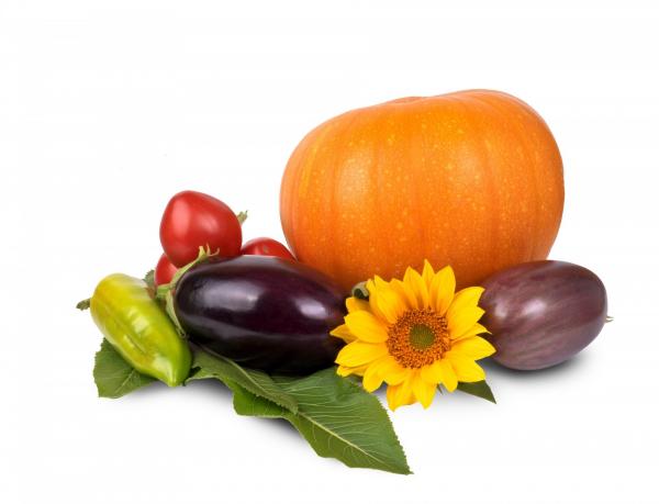 Orange Pumpking Purple Eggplant and Sunflower