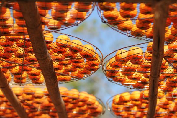 Orange Round Fruit on Black Metal Round Mesh Container