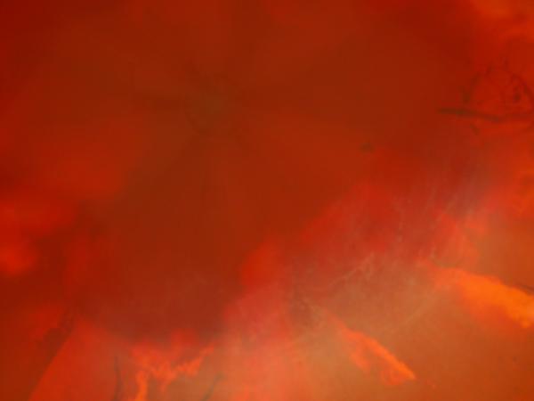 Orange Smoke