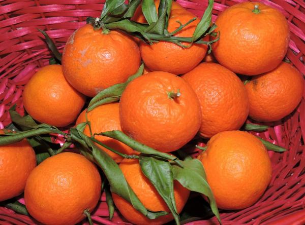 Oranges