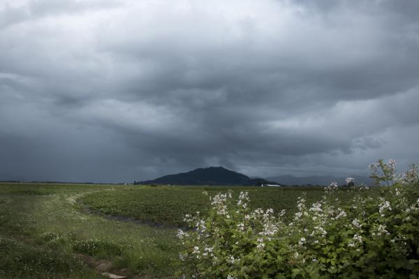 Oregon Spring Stormy Skies