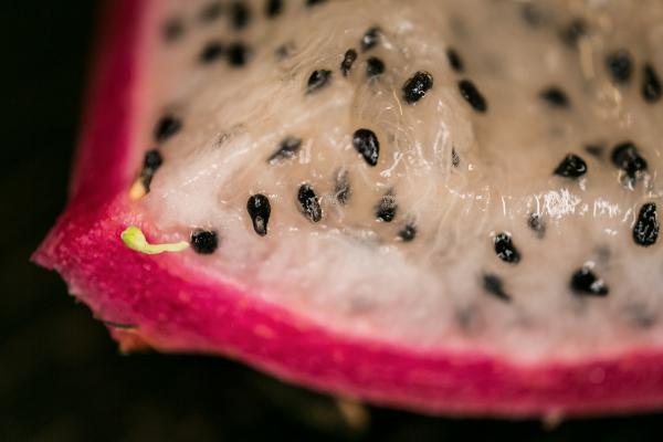 Organic background