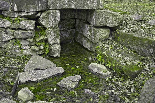 Organic Ruins - HDR
