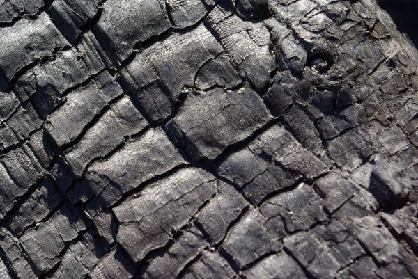 Organic texture