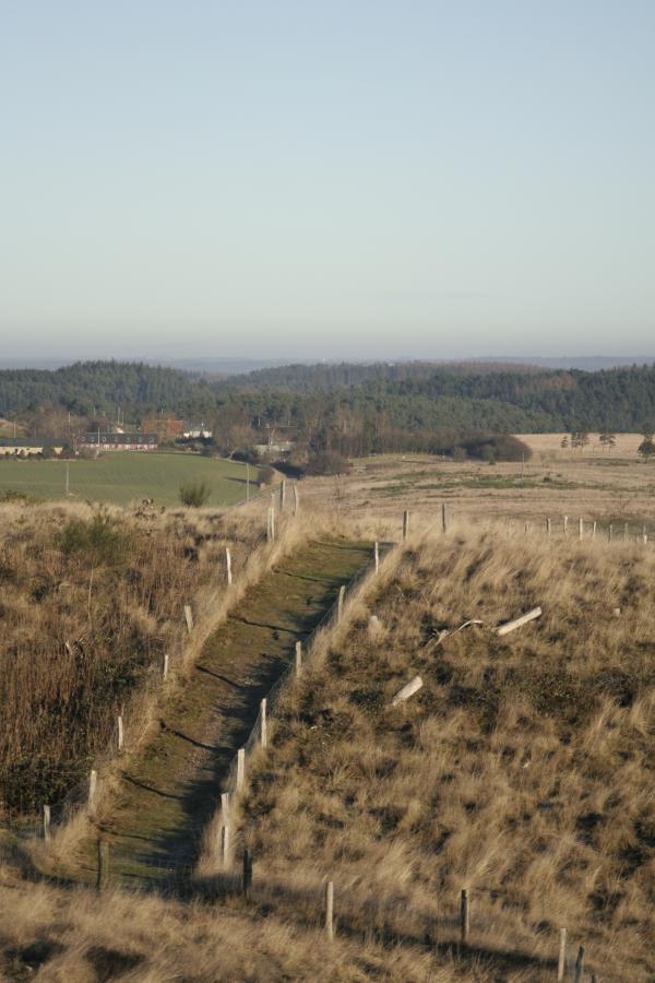 Out in the country