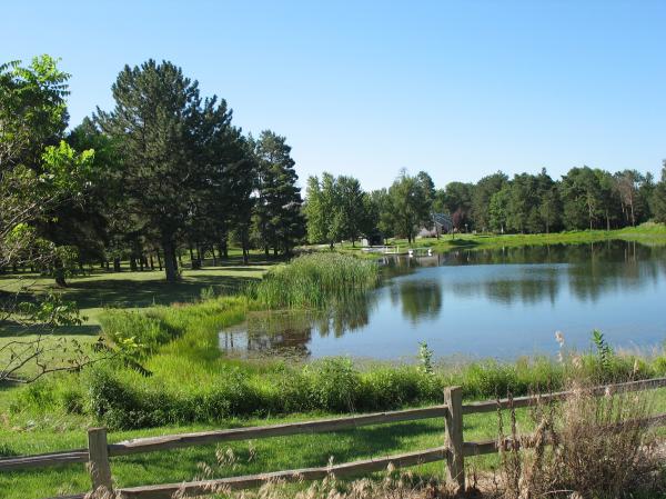 Outdoor nature