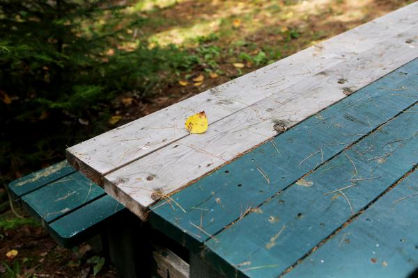 Outdoor Table