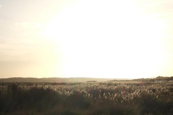 Over exposed sky