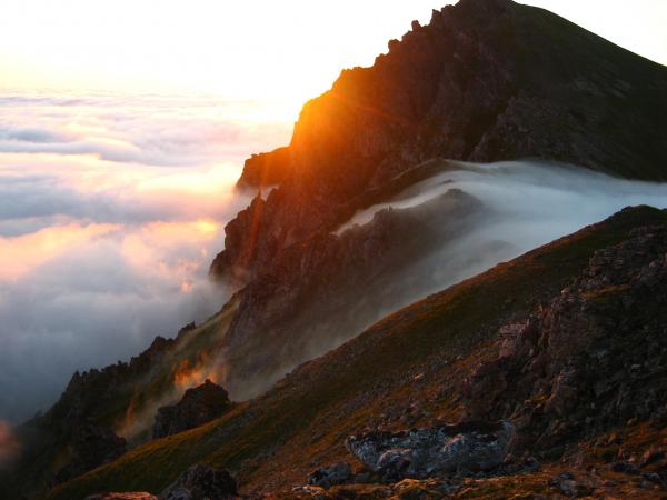 Over the fog