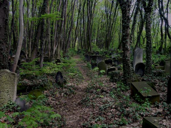 Overgrown Cemetery